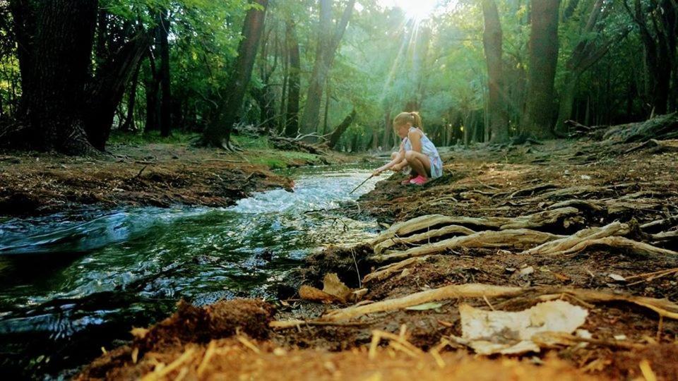 Termas Hotel Cristal カルウエ エクステリア 写真